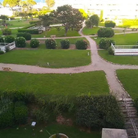 Marina Baie Des Anges *
